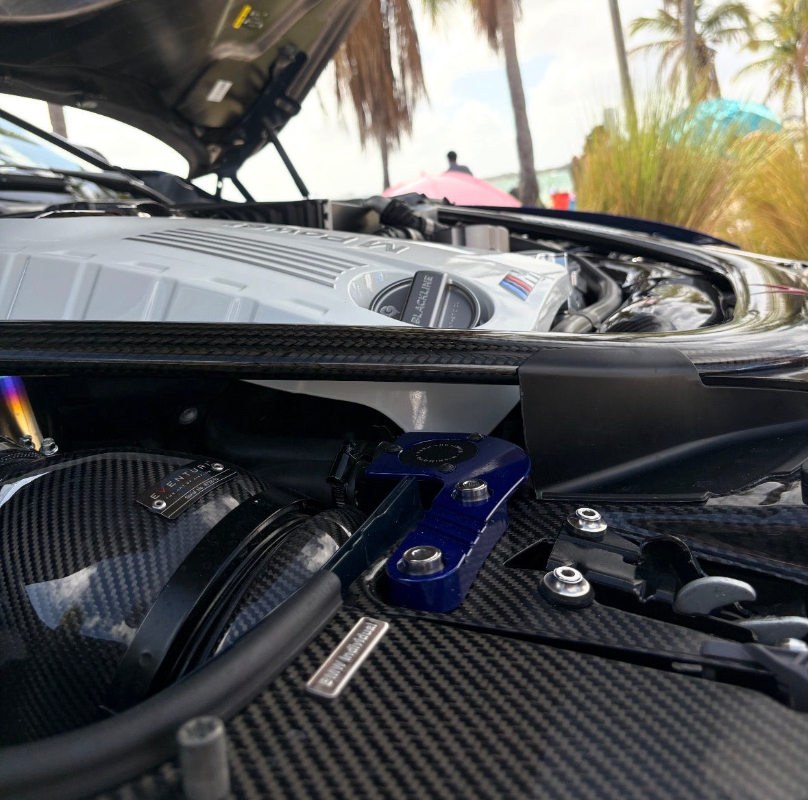Eventuri BMW F8X M3 / M4 Carbon Intake System - V2