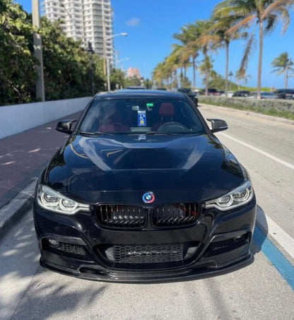 F30/F32 GTS Hood