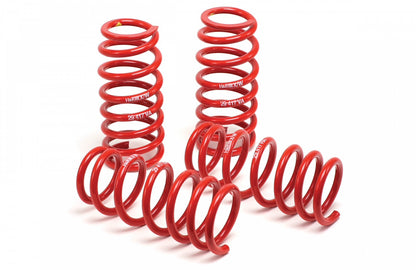 H&R Lowering Springs