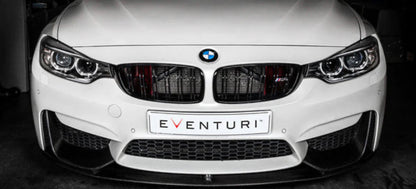 Eventuri BMW F8X M3 / M4 Black Carbon Air Scoop Set