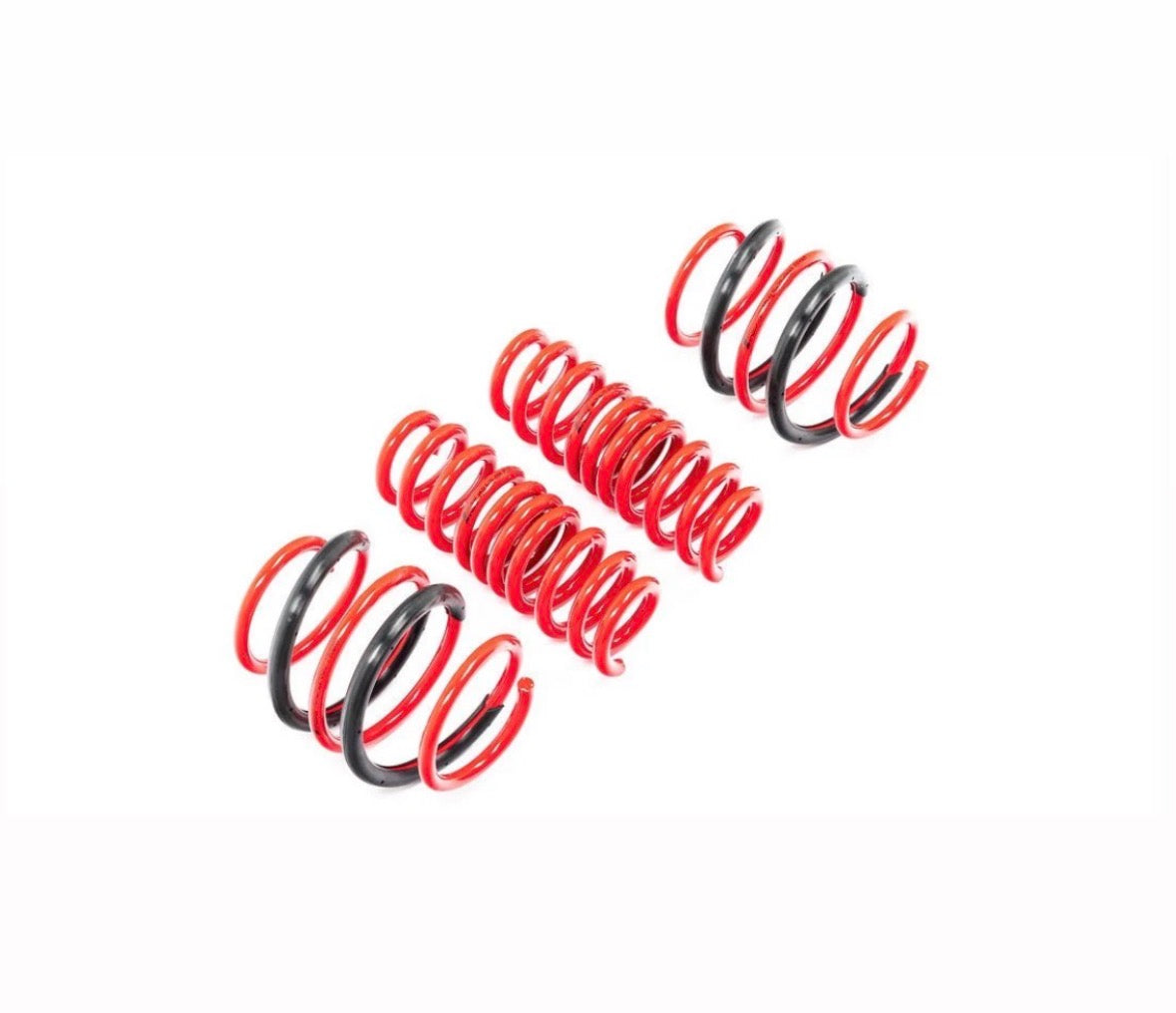 G90/G99 M5 AST Lowering Spring Set