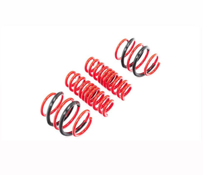 G90/G99 M5 AST Lowering Spring Set