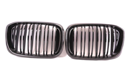 G01 X3 / G02 X4 Pre-LCI Carbon Fiber Grills