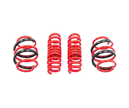 G90/G99 M5 AST Lowering Spring Set