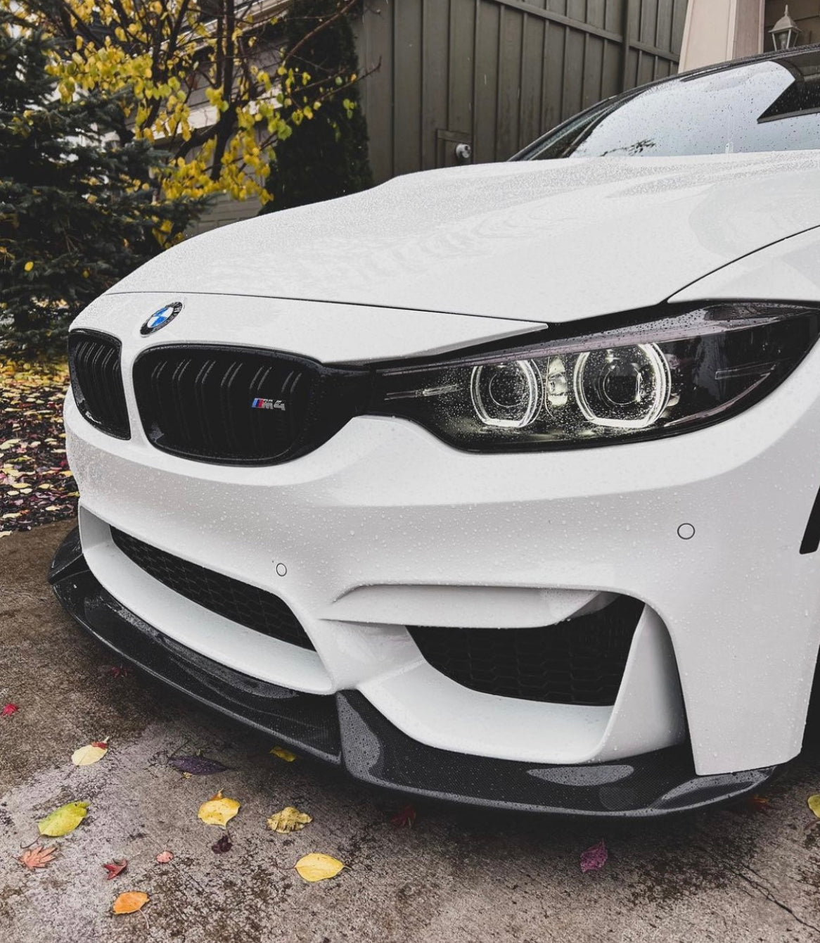 F8x M3/M4 Vr Style Carbon Fiber Front Lip