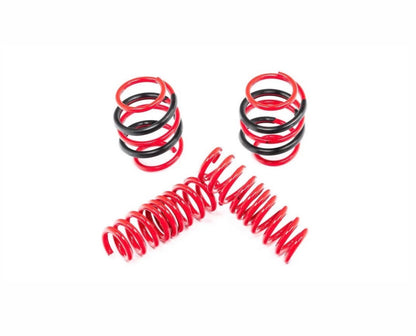 G90/G99 M5 AST Lowering Spring Set