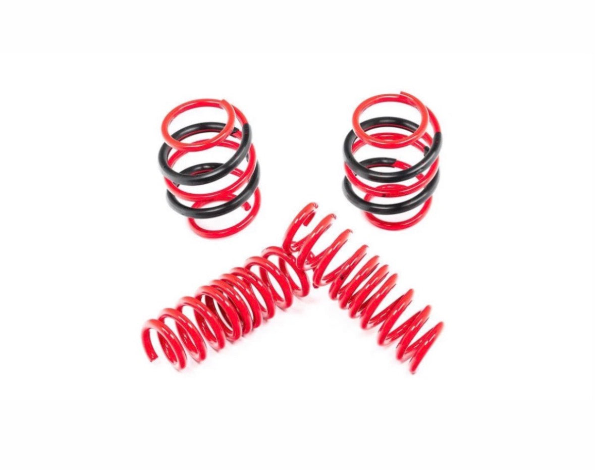 G90/G99 M5 AST Lowering Spring Set