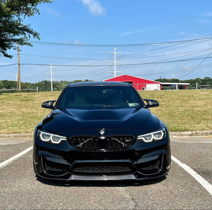 F8x M3/M4 Aluminum GTS Hood