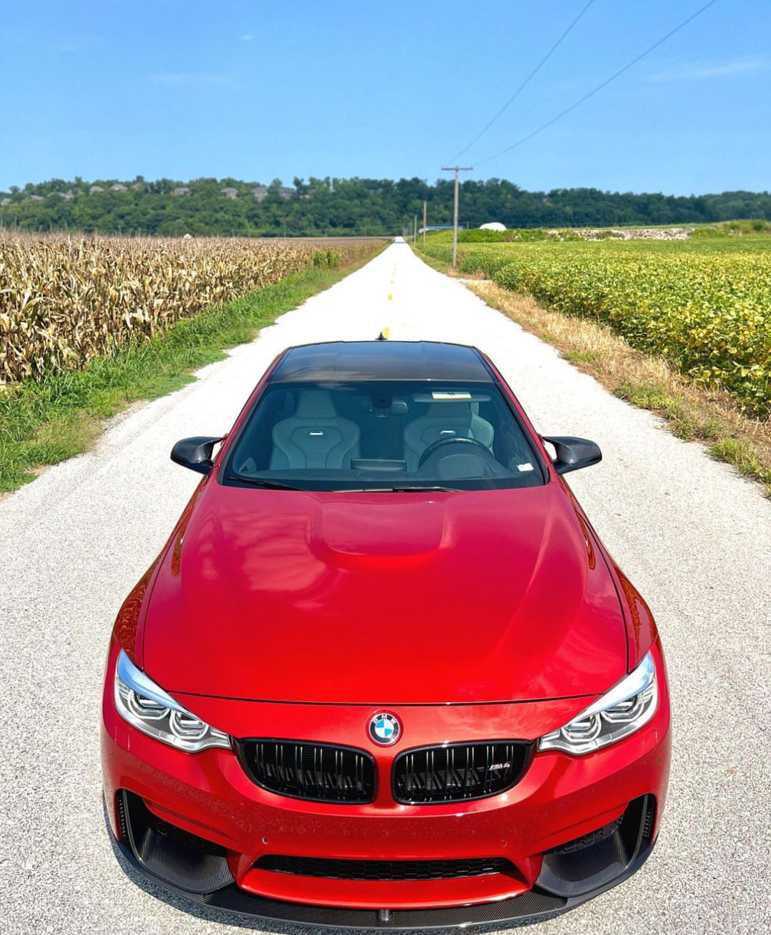 F8x M3/M4 P Style Carbon Fiber Front Lip