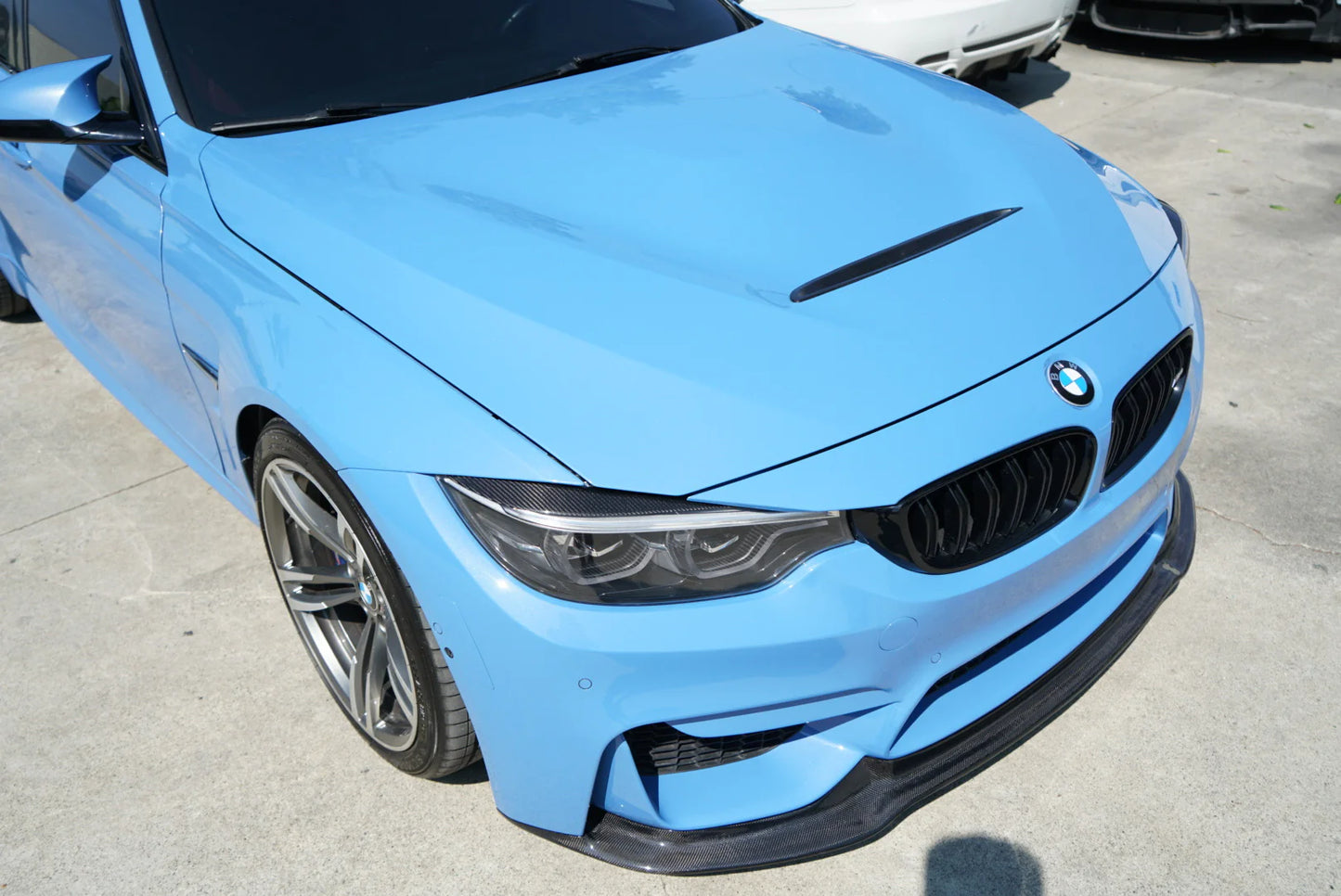 F8x M3/M4 Aluminum GTS Hood