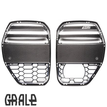 Load image into Gallery viewer, GRALE 2021+ G8x M3 / M4 Front Grille
