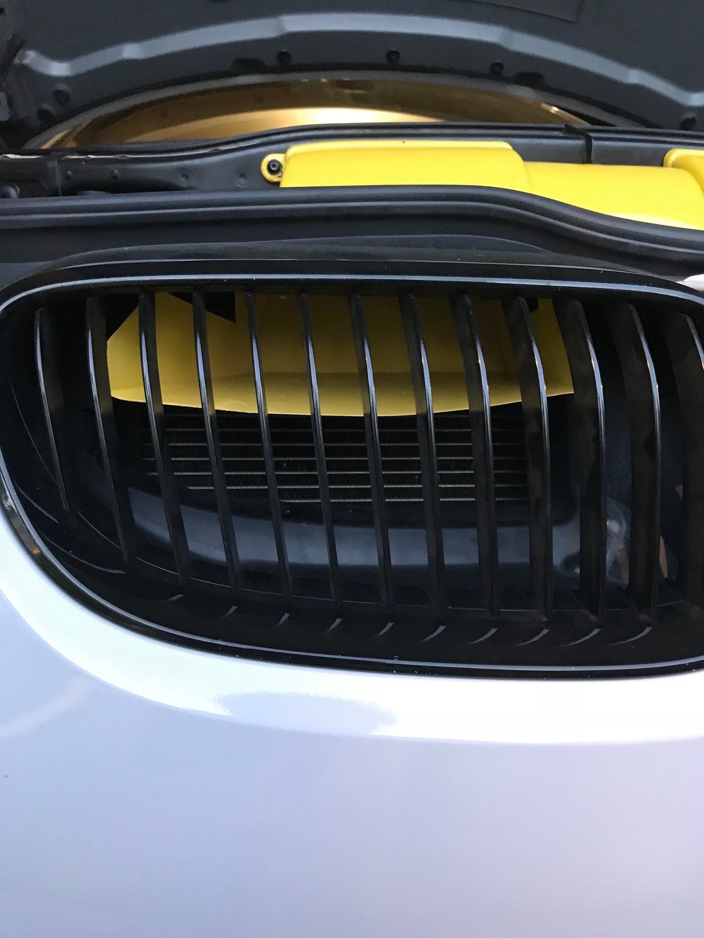 E8x 1 Series Air Intake Scoops