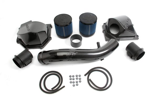 Dinan Carbon Fiber Cold Air Intake Kit (F8x M3/M4)