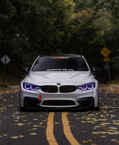 F8x M3/M4 P Style Carbon Fiber Front Lip